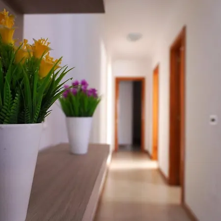 Apto. Guacimeta, A 20m De La Playa.